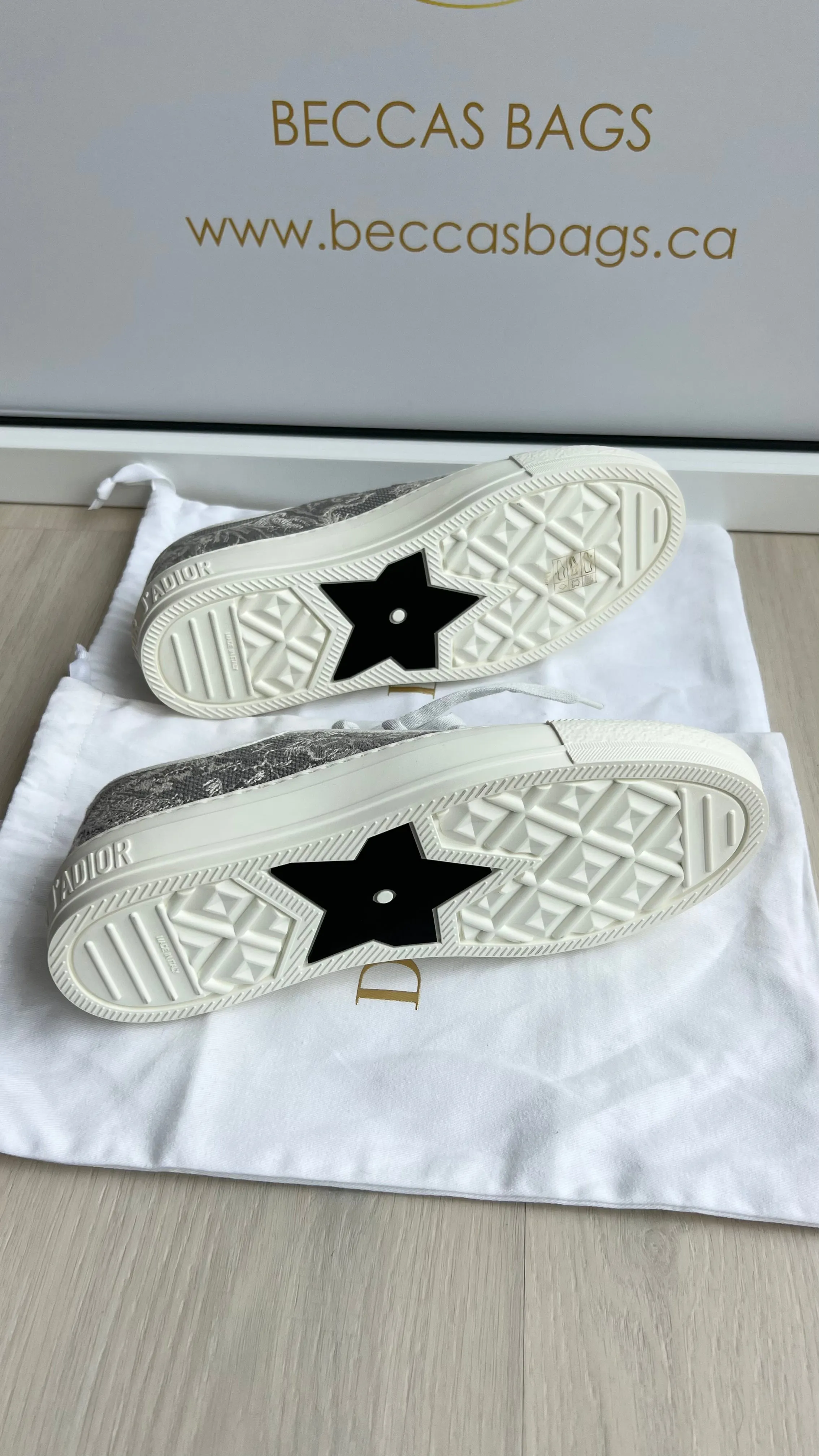 Christian Dior Walk N Dior Sneakers