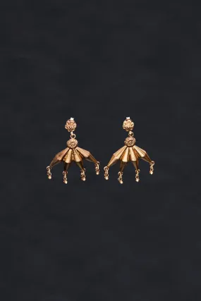 Gold Polished Royal Looking Earrings