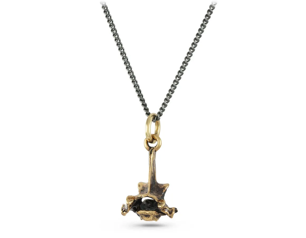 Small Vertebra Necklace - Bronze